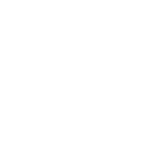 Lead From Within Logo