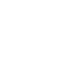 The Executive Pause Workshop